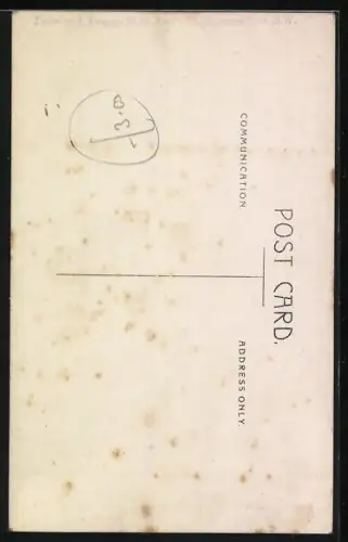 Foto-AK Sitzender Terrier im Freien, Portrait