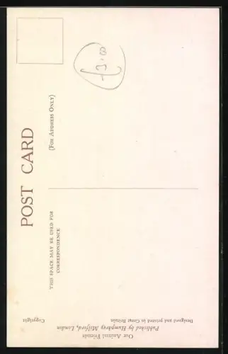 AK Bobtail mit Schafen auf der Weide