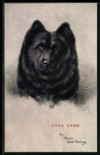 Künstler-AK Kopfpartie eines Chow Chow
