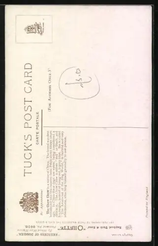 Künstler-AK Kopfpartie eines Chow Chow