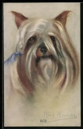 AK Yorkshire Terrier Bob, Portrait