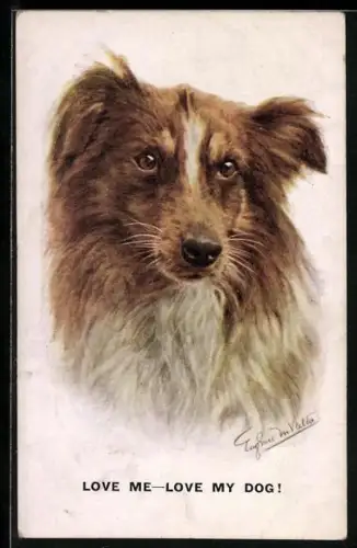 Künstler-AK sign. Valter: Brauner Collie mit treuem Blick