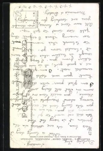 AK Kleiner Terrier freut sich über Schokolade, die nicht für ihn gedacht ist