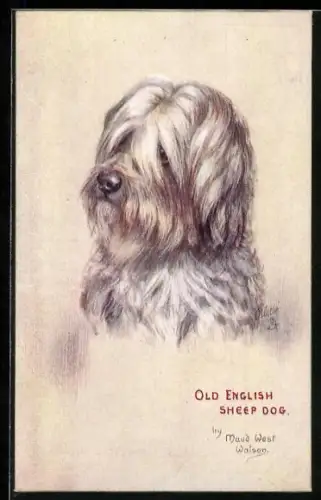 AK Old English Sheep Dog / Bobtail, Portrait