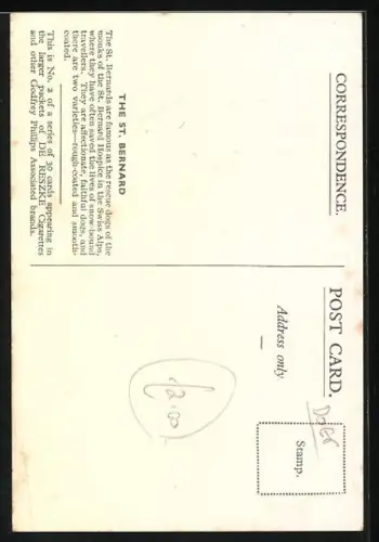 AK Bernhardinerwelpe mit einem zerkauten Handschuh, Portrait