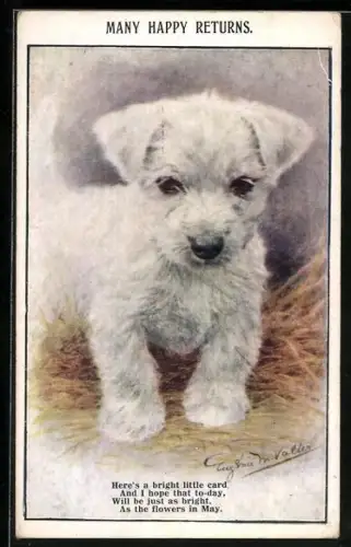 AK Don`t forget the little one at home! kleiner Hund traurig blickend