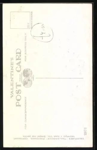 AK Wire Haired Fox Terrier, Portrait