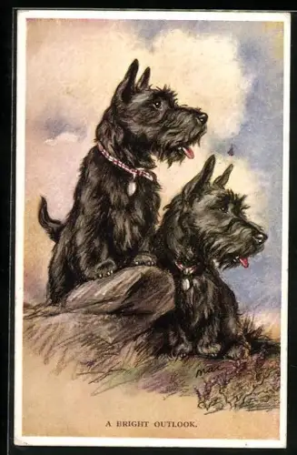 AK A Bright Outlook, Zwei Scotchterrier