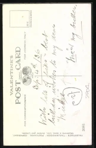 AK A Bright Outlook, Zwei Scotchterrier