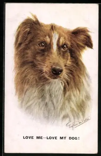 Künstler-AK sign. Valter: Brauner Collie mit treuem Blick