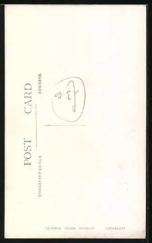 AK Terrier, Portrait von der Seite