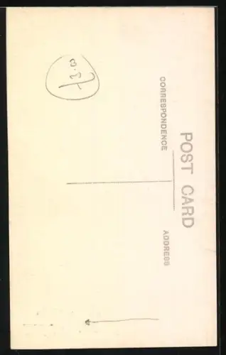 Foto-AK Kleiner Hund mit Halsband auf einer Steintreppe