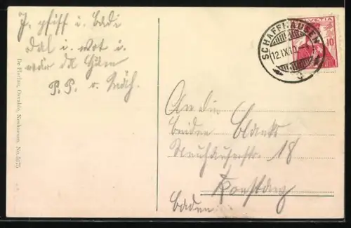 Künstler-AK Rheinfall, Besucherplattform mit Beobachtern