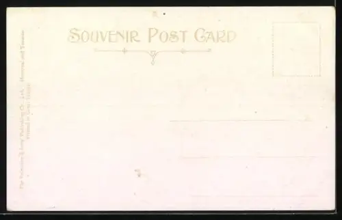 AK Niagara, American Falls from Inspiration Point