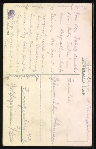 AK Die Hohe Tatra, Mittlerer Wasserfall mit Brücke