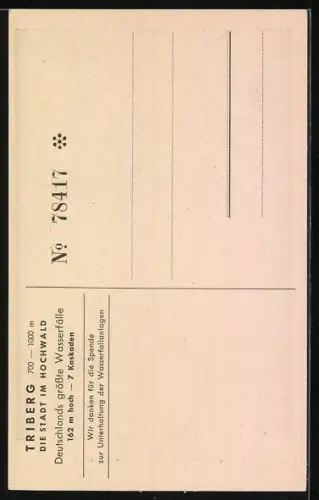 AK Triberg, Partie an den Wasserfällen