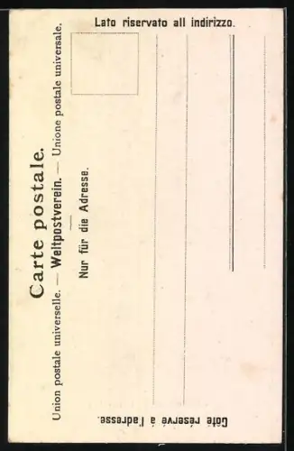 AK Handeckfall /Grimselstrasse, Der Handeckfall mit anliegendem Wald