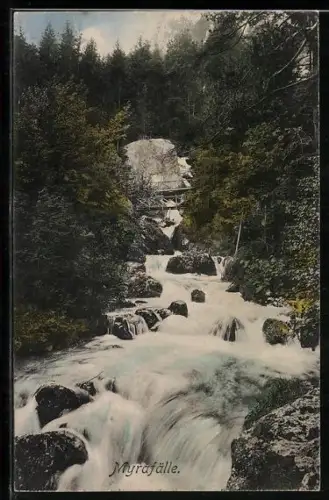 AK Myrafälle, Mit anliegendem Wald und Zuschauerplattform