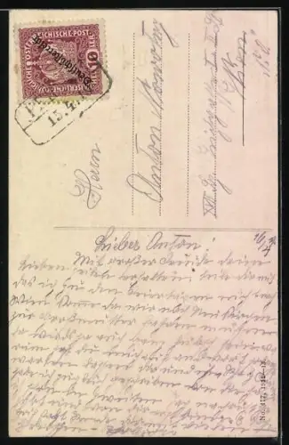 AK Myrafälle, Mit anliegendem Wald und Zuschauerplattform