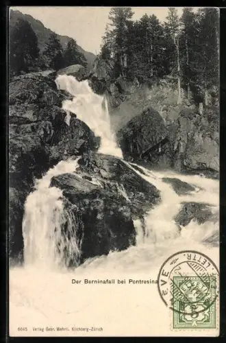 AK Pontresina, Der Berninafall mit umliegendem Wald