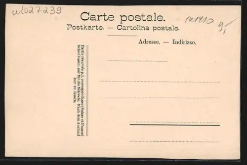 AK Luzern, Ortspanorama mit Brücke