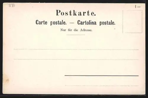 AK Luzern, Musegg, Panorama mit Türmen