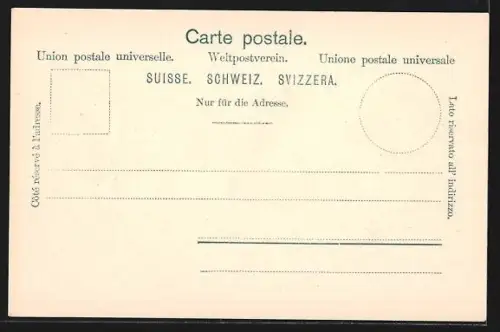 AK Basel, Münster und Pfalz aus der Vogelschau, mit Terrassengebäude am Wasser