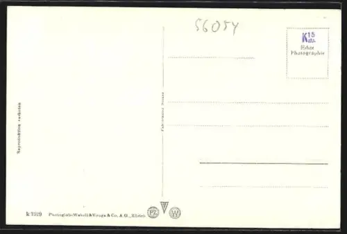 AK Zug, Ortsansicht vom Quai aus