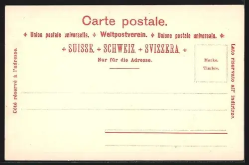 AK Neuchatel, Eglise Collégiale, Panorama