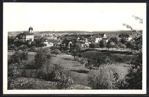 AK Grüningen, Ortspanorama mit Wiese und Bäumen