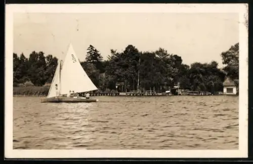 AK Teupitz-See /Kgs. Wusterhausen, Segelboot, Uferansicht, Bootshaus