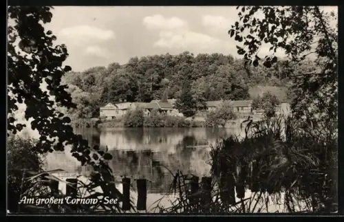 AK Buckow /Märkische Schweiz, Am grossen Tornow-See