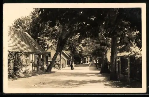 AK Neuglobsow /Gransee, Partie in der Stechlinseestrasse