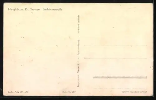 AK Neuglobsow /Gransee, Partie in der Stechlinseestrasse