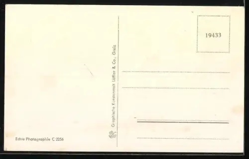 AK Neumark i. Sa., Ortsansicht aus der Vogelschau