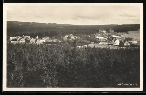 AK Grünbach i. V., Ortsansicht mit Wald
