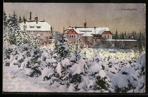 AK Carolagrün, Verschneite Gebäude im Winter