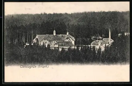 AK Carolagrün /Erzgeb., Ortsansicht mit Gebäuden im Wald