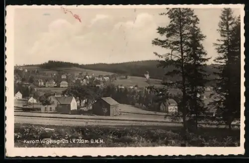 AK Vogelsgrün i. V., Ortsansicht mit Bäumen