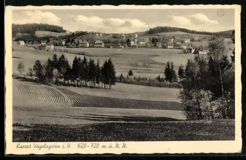 AK Vogelsgrün i. V., Ortsansicht mit Feldern und Hügeln