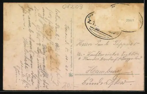 AK Auerbach /Vogtland, Treuen, Lengenfeld, Falkenstein