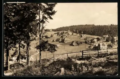 AK Mühlleithen i. Vogtl., Ortsansicht mit Wald