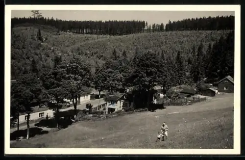 Foto-AK Morgenröthe-Rautenkranz, Mann mit Kind auf einer Wiese über dem Ort