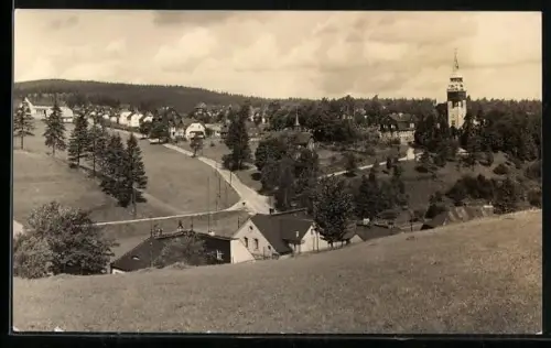 AK Tannenbergsthal i. Vogtl., Ortsansicht mit Kirche
