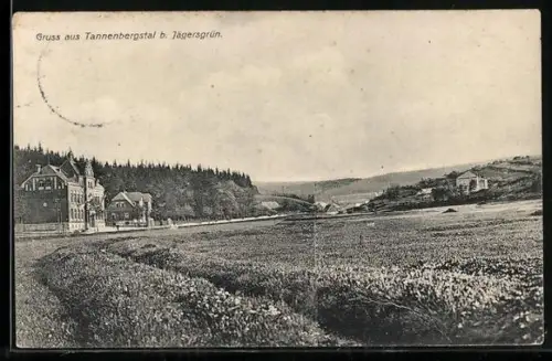 AK Tannenbergstal b. Jägersgrün, Blick zum Ort