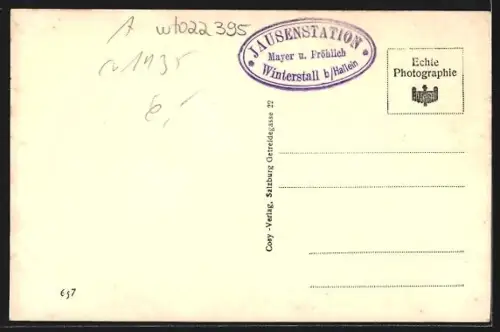 AK Hallein an der Salzach, Totalansicht vom Winterstall