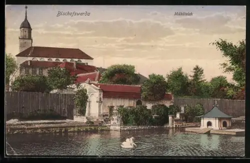 AK Bischofswerda i. Sa., Mühlteich mit Blick auf die Kirche