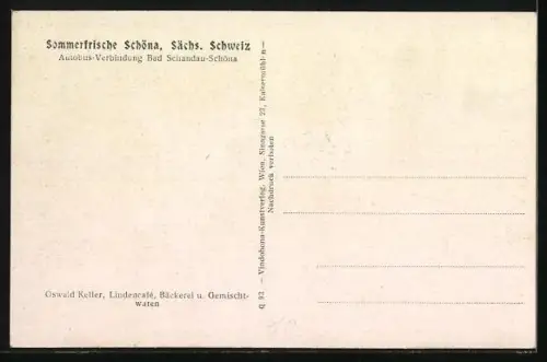 AK Schöna /Sächs. Schweiz, Vogelschau auf den Ort und Umgebung