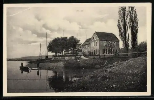 AK Wildberg-Gauernitz, Gasthof Elbschlösschen, Bes. M. Hammermüller