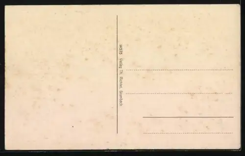 AK Grumbach /Dresden, Teilansicht des Ortes und Umgebung